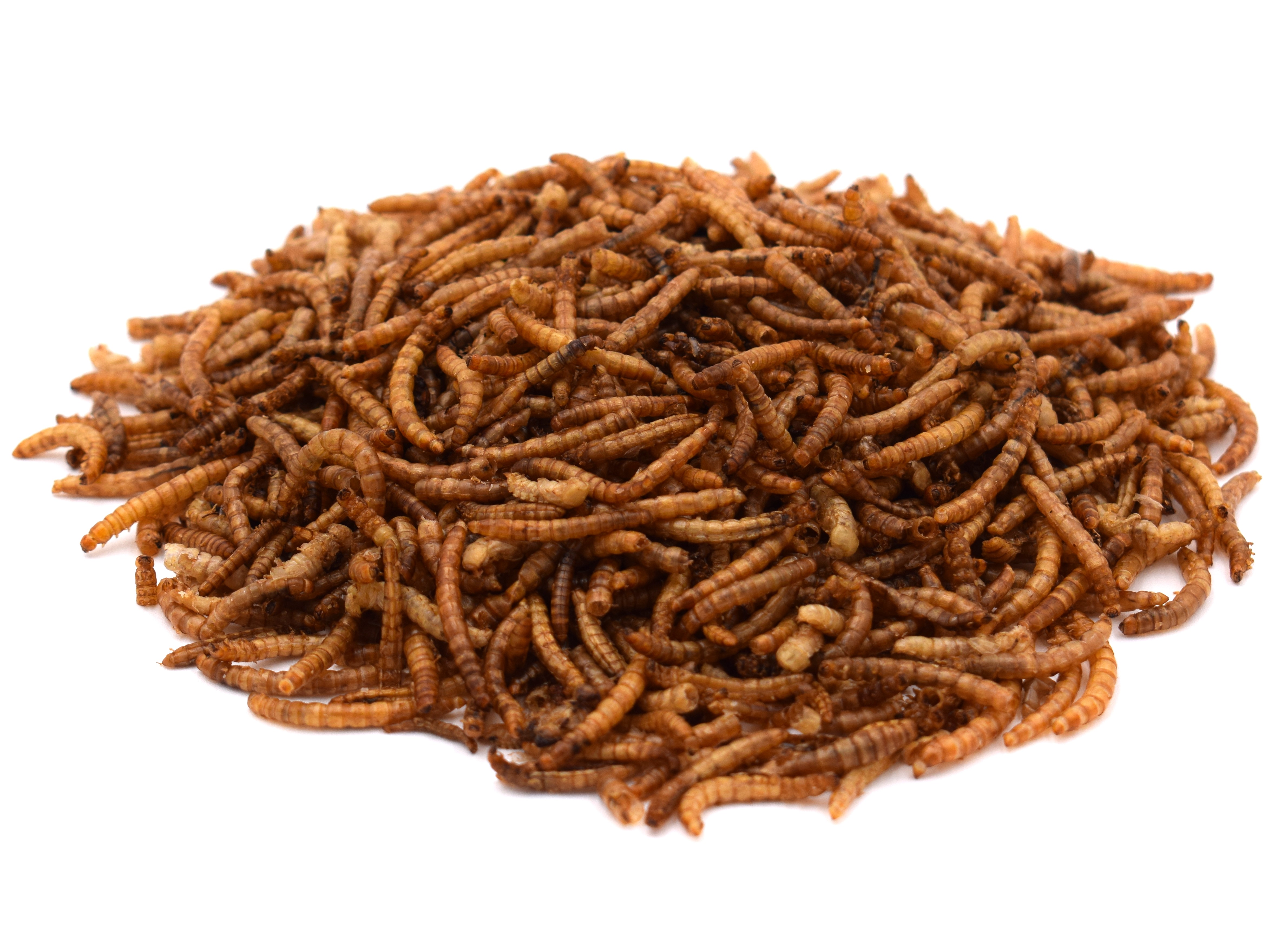Mehlwürmer, getrocknet (1kg)