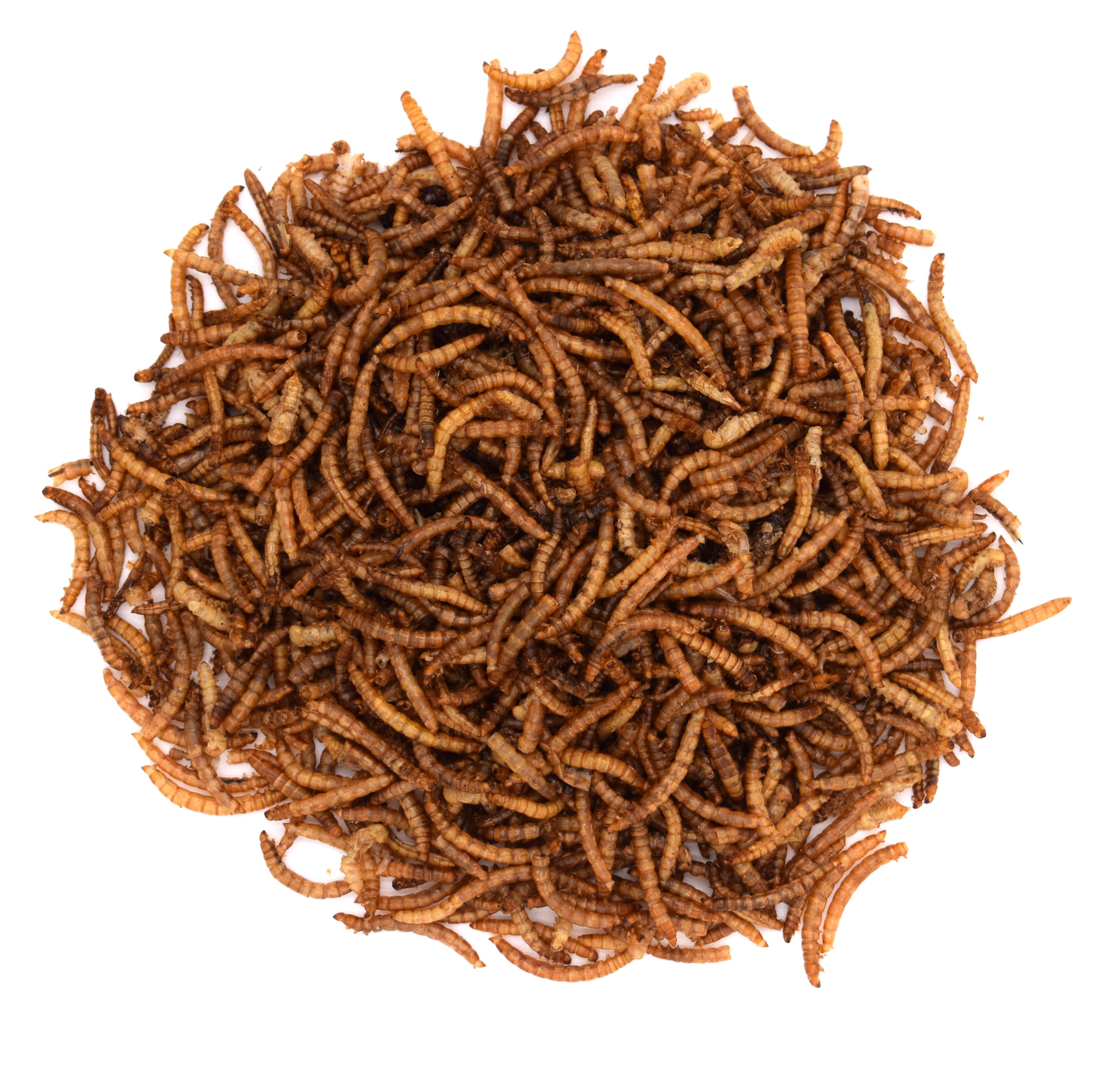 Mehlwürmer, getrocknet (1kg)